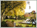 Cliquer sur la photo pour l'agrandir