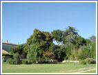 Cliquer sur la photo pour l'agrandir